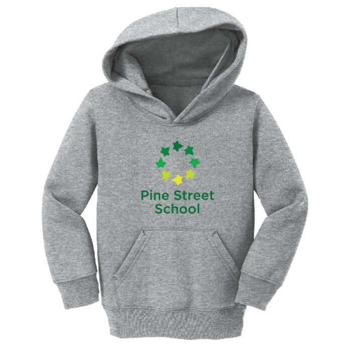 Port & Company® TODDLER Core Fleece Pullover Hooded Sweatshirt PSSBPM-CAR78TH - Image 3
