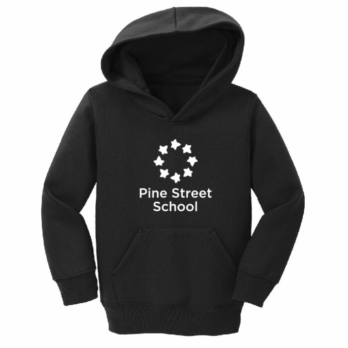 Port & Company® TODDLER Core Fleece Pullover Hooded Sweatshirt PSSBPM-CAR78TH - Image 4