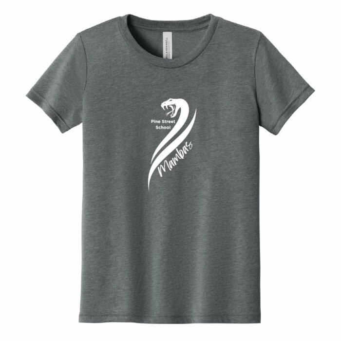 BELLA+CANVAS® Youth Triblend Short Sleeve Tee PSSBPM-BC3413Y - Image 4